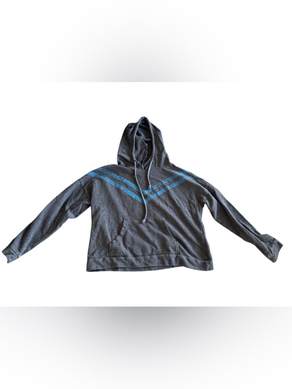 NFL Carolina Panters Gray Lightweight Hoodie with blue chevron stripe
